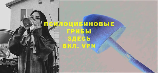 тгк Алексин