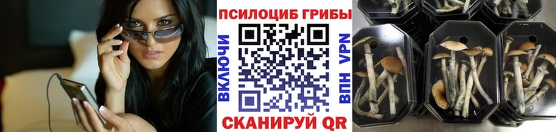 Псилоцибиновые грибы мицелий  купить   Венёв 